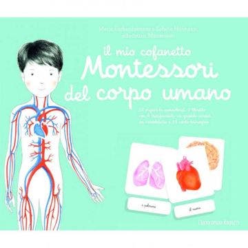 Il mio cofanetto montessori del corpo umano
